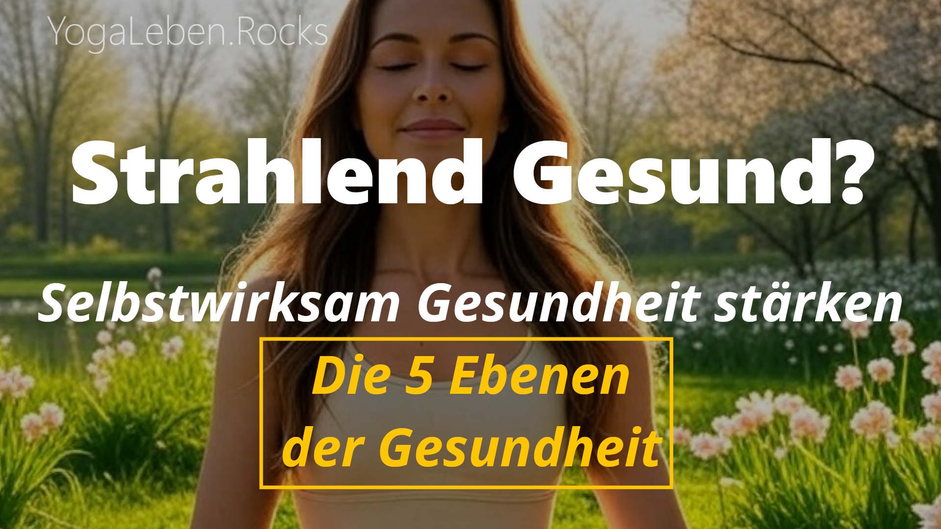 Cover Die 5 Ebenen der Gesundheit Cover Die 5 Ebenen der Gesundheit