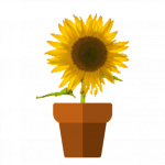Ein Blumentopf mit einer kleinen Sonnenblume drin - steht symbolisch für die erste Entwicklung nach dem Start.