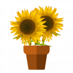 Ein Blumentopf mit zwei Sonnenblumen drin - steht symbolisch für den ersten Wachstumsschritt nach dem Start