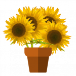 Ein Blumentopf mit vier Sonnenblumen drin - steht symbolisch für grosse Fortschritte