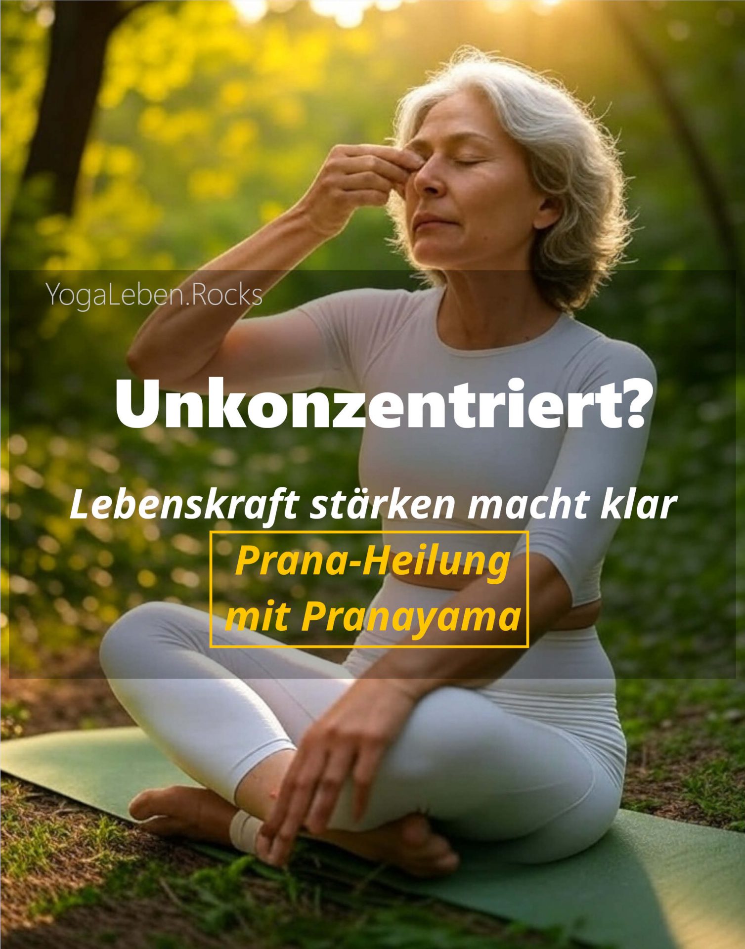 Pranayama Kurs für Prana-Heilung stärkt Konzentration und Lebenskraft Pranayama Kurs für Prana-Heilung stärkt Konzentration und Lebenskraft