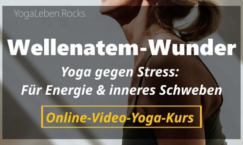 Kursvorschaubild