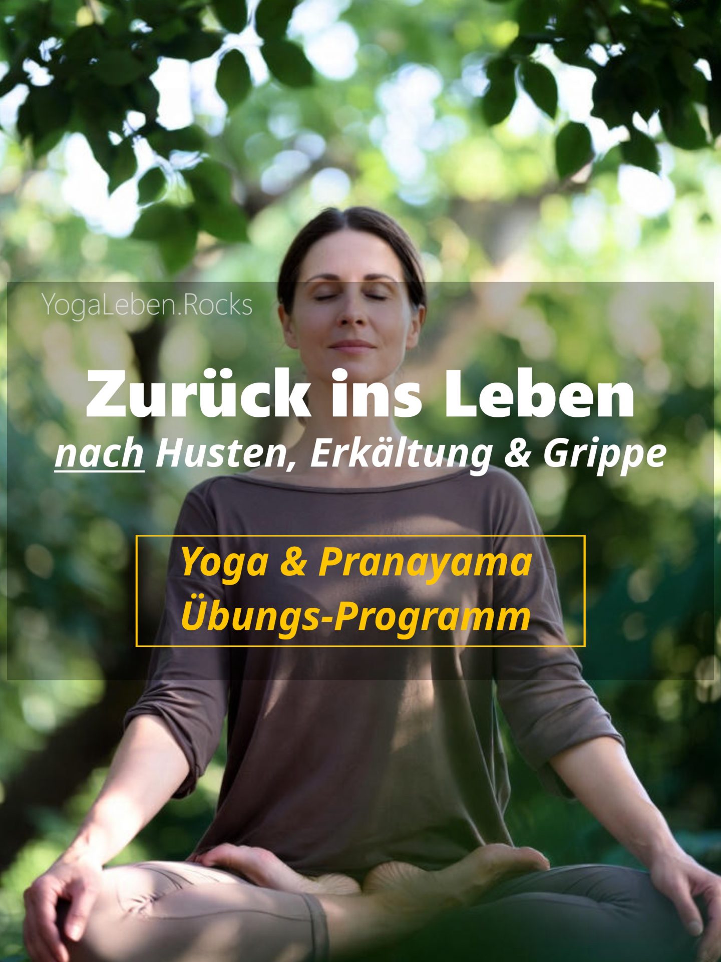 Zurück ins Leben – Yoga-Atemtraining nach Husten-Erkältung-Grippe
